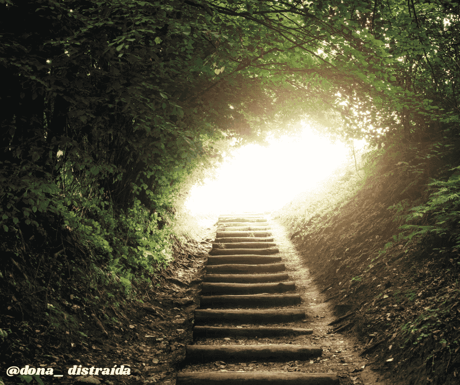 Caminhos para uma Melhora Sustentável
