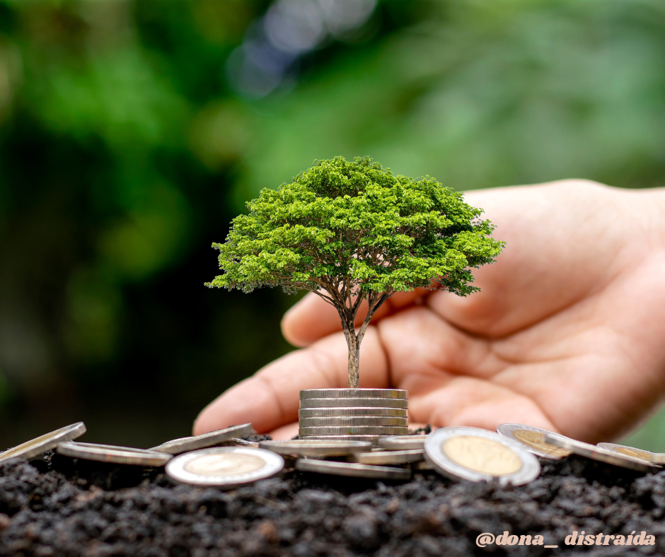 Cultivando uma Mentalidade de Abundância